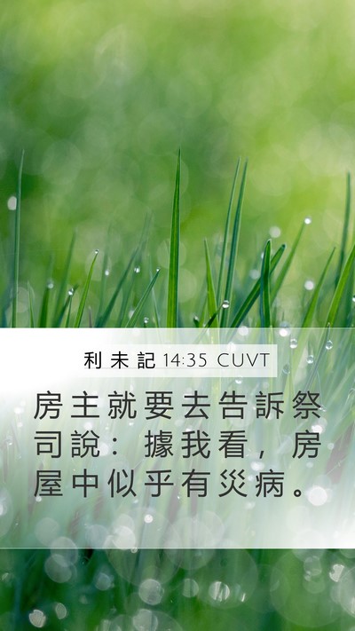 利 未 記 14:35 CUVT Mobile Phone Wallpaper - 房 主 就 要 去 告 訴 祭 司 說 ： 據 - Mobile Bible Verse Wallpaper
