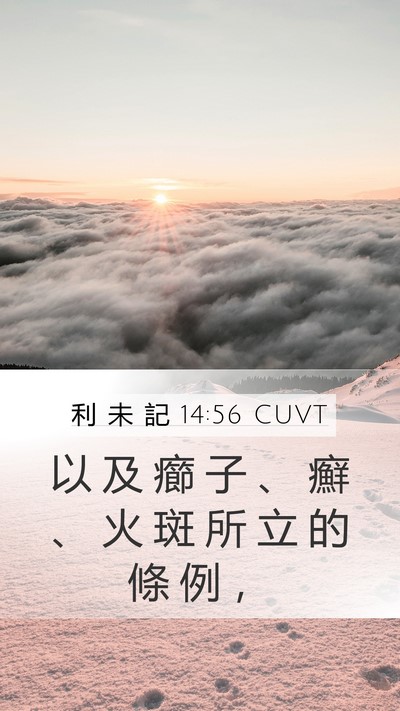 利 未 記 14:56 CUVT Mobile Phone Wallpaper - 以 及 癤 子 、 癬 、 火 斑 所 立 的 - Mobile Bible Verse Wallpaper