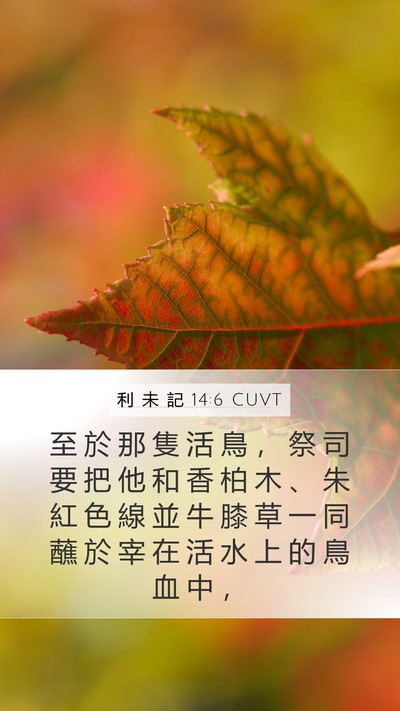 利 未 記 14:6 CUVT Bible Verse Image
