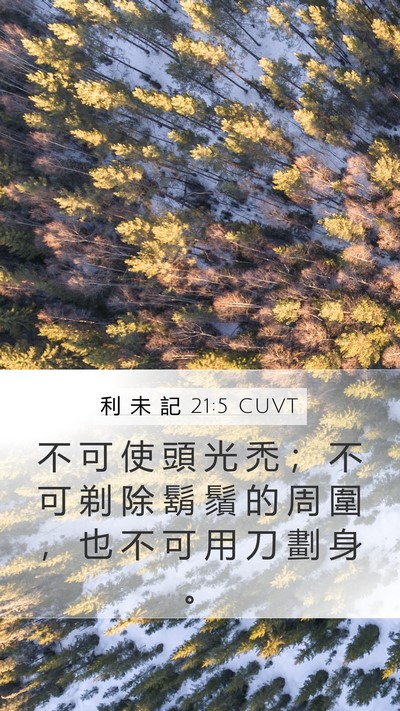 利 未 記 21:5 CUVT Bible Verse Image