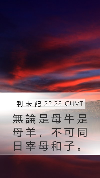 利 未 記 22:28 CUVT Bible Verse Image
