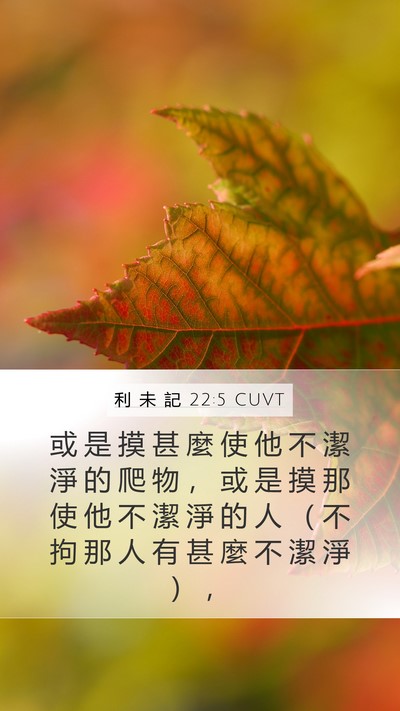 利 未 記 22:5 CUVT Mobile Phone Wallpaper - 或 是 摸 甚 麼 使 他 不 潔 淨 的 爬 - Mobile Bible Verse Wallpaper