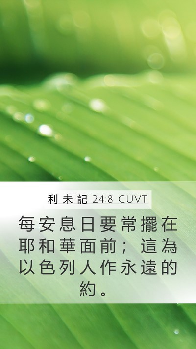 利 未 記 24:8 CUVT Mobile Phone Wallpaper - 每 安 息 日 要 常 擺 在 耶 和 華 面 - Mobile Bible Verse Wallpaper