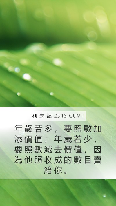 利 未 記 25:16 CUVT Mobile Phone Wallpaper - 年 歲 若 多 ， 要 照 數 加 添 價 值 - Mobile Bible Verse Wallpaper