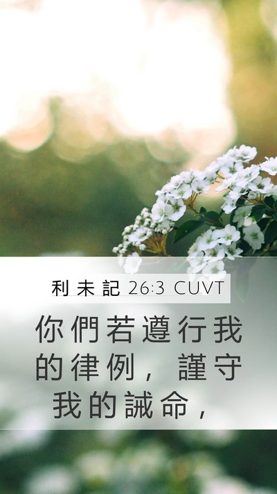 利 未 記 26:3 CUVT Bible Verse Image