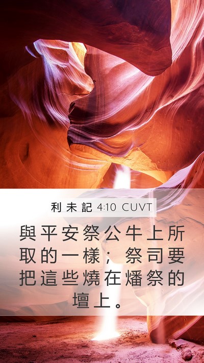 利 未 記 4:10 CUVT Mobile Phone Wallpaper - 與 平 安 祭 公 牛 上 所 取 的 一 樣 - Mobile Bible Verse Wallpaper