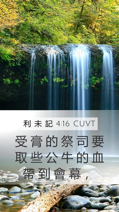 利 未 記 4:16 CUVT Mobile Phone Wallpaper - 受 膏 的 祭 司 要 取 些 公 牛 的 血 - Mobile Bible Verse Wallpaper