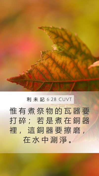 利 未 記 6:28 CUVT Bible Verse Image