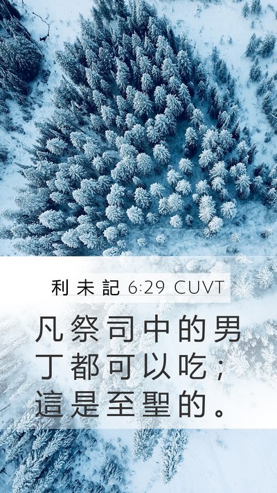 利 未 記 6:29 CUVT Bible Verse Image