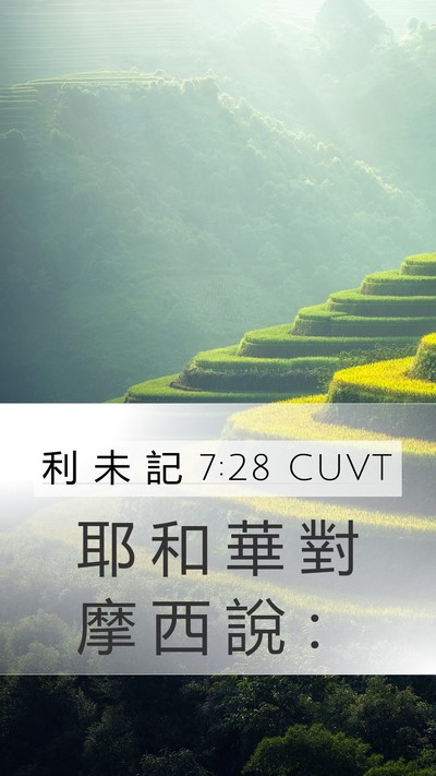 利 未 記 7:28 CUVT Mobile Phone Wallpaper - 耶 和 華 對 摩 西 說 - Mobile Bible Verse Wallpaper