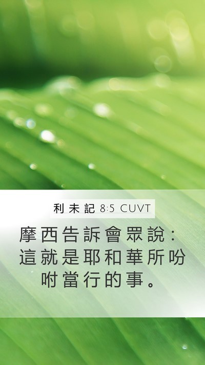 利 未 記 8:5 CUVT Mobile Phone Wallpaper - 摩 西 告 訴 會 眾 說 ： 這 就 是 耶 - Mobile Bible Verse Wallpaper