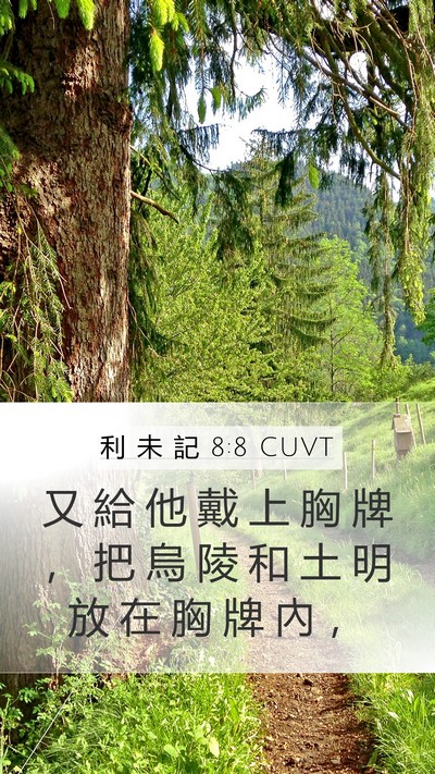 利 未 記 8:8 CUVT Bible Verse Image