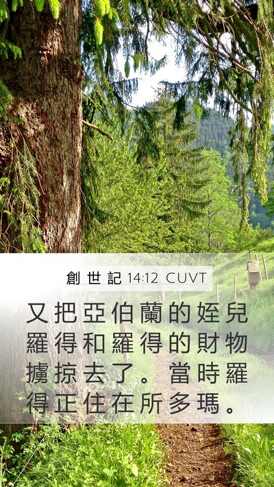 創 世 記 14:12 CUVT Bible Verse Image