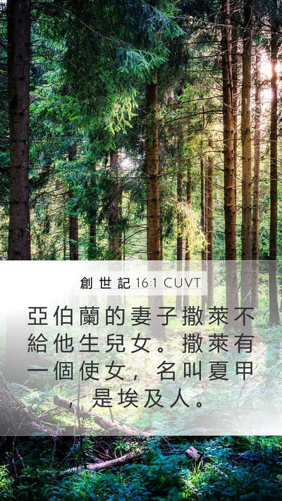 創 世 記 16:1 CUVT Mobile Phone Wallpaper - 亞 伯 蘭 的 妻 子 撒 萊 不 給 他 生 - Mobile Bible Verse Wallpaper