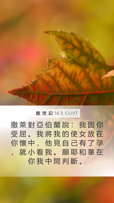 創 世 記 16:5 CUVT Mobile Phone Wallpaper - 撒 萊 對 亞 伯 蘭 說 ： 我 因 你 受 - Mobile Bible Verse Wallpaper