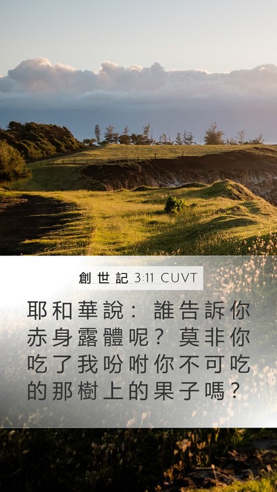 創 世 記 3:11 CUVT Mobile Phone Wallpaper - 耶 和 華 說 ： 誰 告 訴 你 赤 身 露 - Mobile Bible Verse Wallpaper