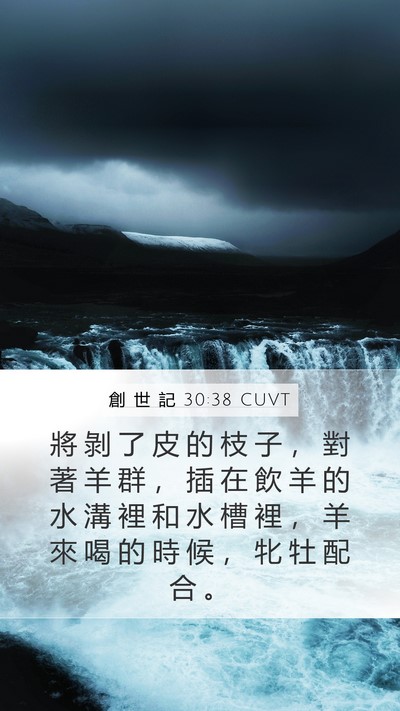 創 世 記 30:38 CUVT Mobile Phone Wallpaper - 將 剝 了 皮 的 枝 子 ， 對 著 羊 群 - Mobile Bible Verse Wallpaper