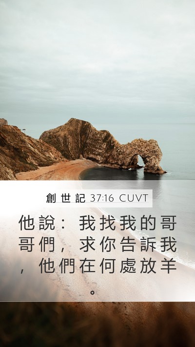 創 世 記 37:16 CUVT Mobile Phone Wallpaper - 他 說 ： 我 找 我 的 哥 哥 們 ， 求 - Mobile Bible Verse Wallpaper