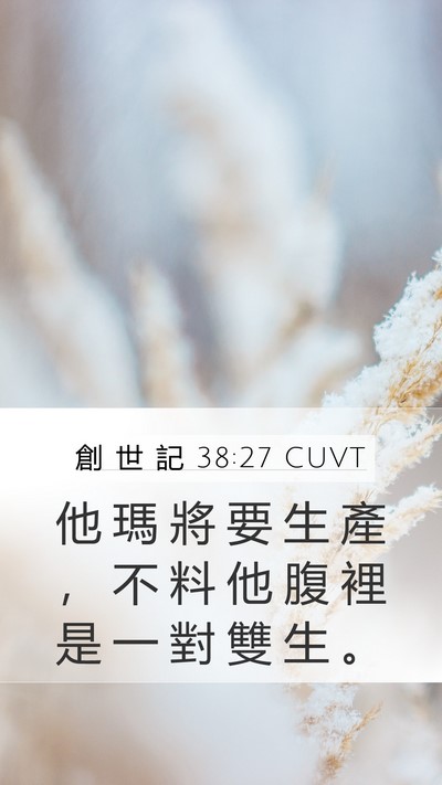 創 世 記 38:27 CUVT Mobile Phone Wallpaper - 他 瑪 將 要 生 產 ， 不 料 他 腹 裡 - Mobile Bible Verse Wallpaper