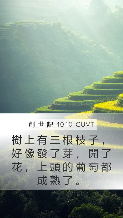 創 世 記 40:10 CUVT Mobile Phone Wallpaper - 樹 上 有 三 根 枝 子 ， 好 像 發 了 - Mobile Bible Verse Wallpaper
