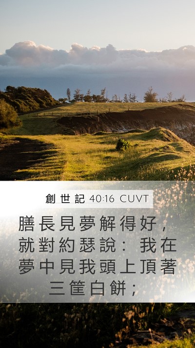 創 世 記 40:16 CUVT Mobile Phone Wallpaper - 膳 長 見 夢 解 得 好 ， 就 對 約 瑟 - Mobile Bible Verse Wallpaper