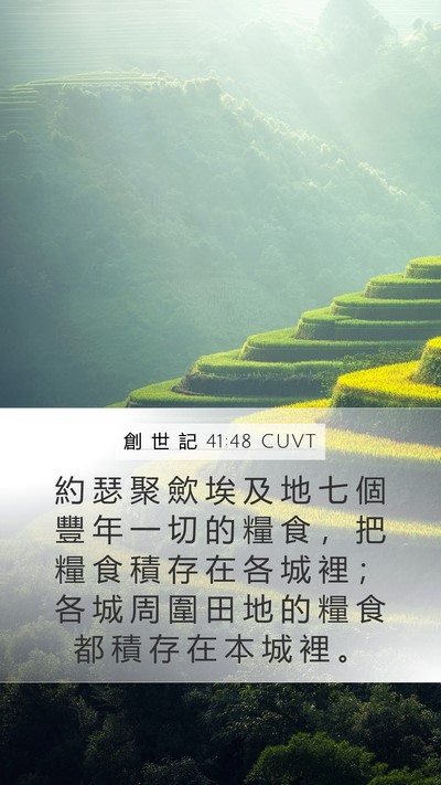 創 世 記 41:48 CUVT Bible Verse Image
