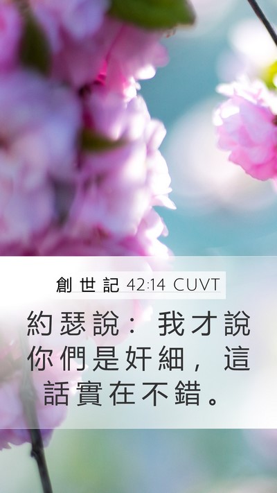 創 世 記 42:14 CUVT Bible Verse Image