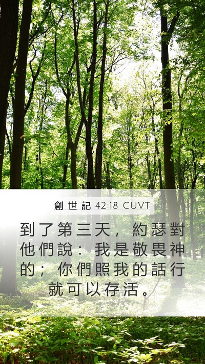 創 世 記 42:18 CUVT Mobile Phone Wallpaper - 到 了 第 三 天 ， 約 瑟 對 他 們 說 - Mobile Bible Verse Wallpaper