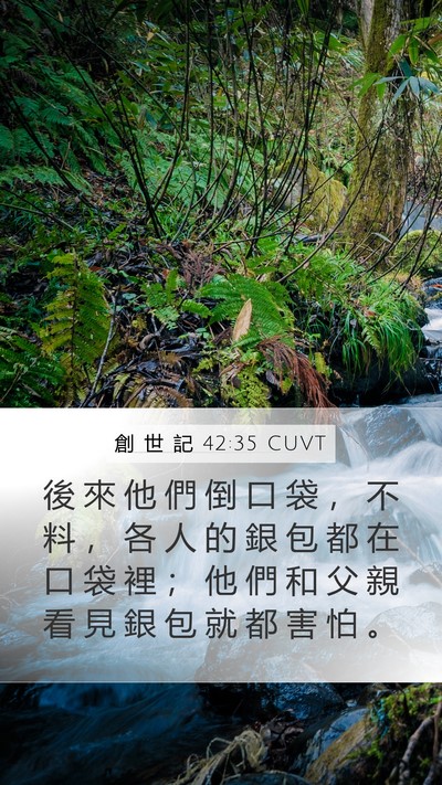創 世 記 42:35 CUVT Bible Verse Image