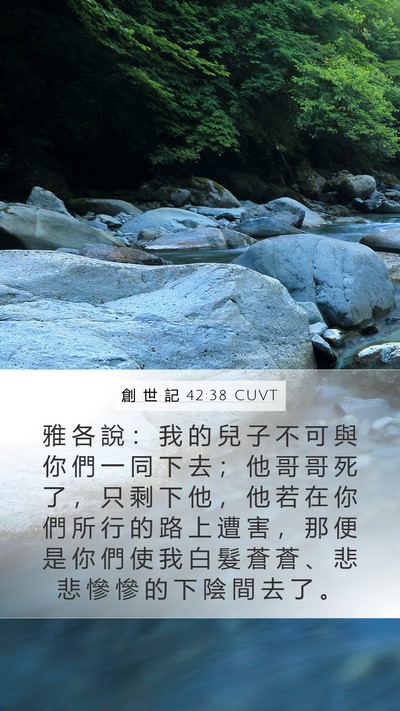 創 世 記 42:38 CUVT Bible Verse Image