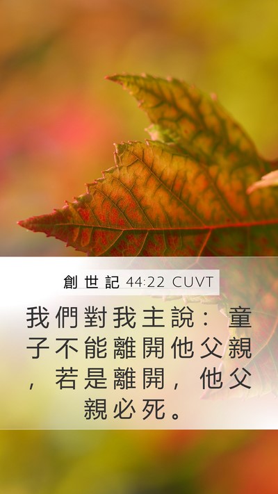 創 世 記 44:22 CUVT Mobile Phone Wallpaper - 我 們 對 我 主 說 ： 童 子 不 能 離 - Mobile Bible Verse Wallpaper