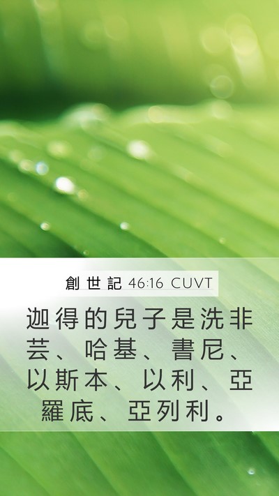 創 世 記 46:16 CUVT Mobile Phone Wallpaper - 迦 得 的 兒 子 是 洗 非 芸 、 哈 基 - Mobile Bible Verse Wallpaper