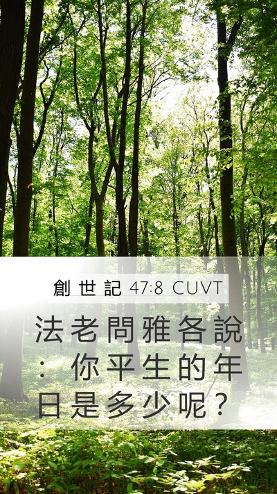 創 世 記 47:8 CUVT Mobile Phone Wallpaper - 法 老 問 雅 各 說 ： 你 平 生 的 年 - Mobile Bible Verse Wallpaper
