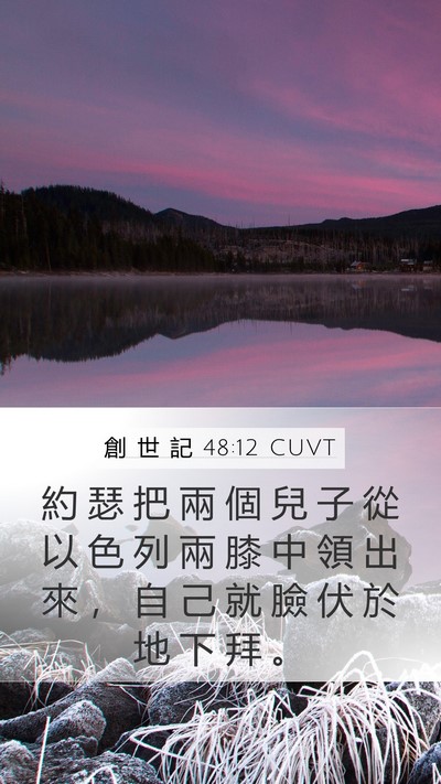 創 世 記 48:12 CUVT Mobile Phone Wallpaper - 約 瑟 把 兩 個 兒 子 從 以 色 列 兩 - Mobile Bible Verse Wallpaper