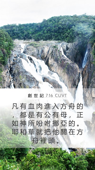 創 世 記 7:16 CUVT Mobile Phone Wallpaper - 凡 有 血 肉 進 入 方 舟 的 ， 都 是 - Mobile Bible Verse Wallpaper