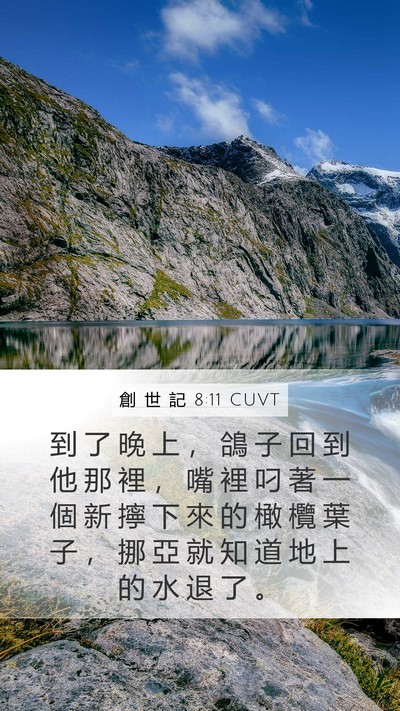 創 世 記 8:11 CUVT Mobile Phone Wallpaper - 到 了 晚 上 ， 鴿 子 回 到 他 那 裡 - Mobile Bible Verse Wallpaper
