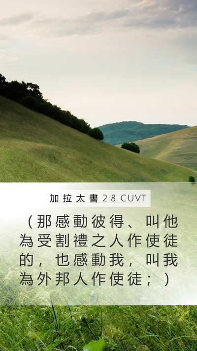 加 拉 太 書 2:8 CUVT Bible Verse Image