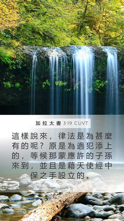 加 拉 太 書 3:19 CUVT Bible Verse Image