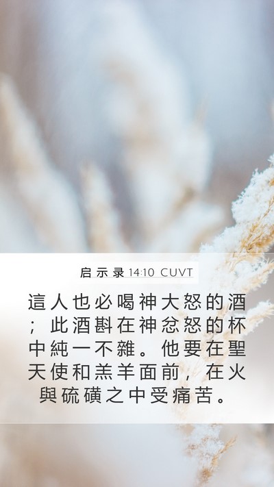 启 示 录 14:10 CUVT Bible Verse Image