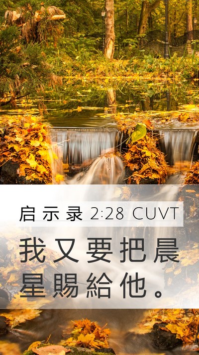 启 示 录 2:28 CUVT Bible Verse Image