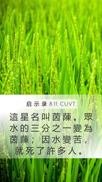 启 示 录 8:11 CUVT Mobile Phone Wallpaper - 這 星 名 叫 茵 蔯 。 眾 水 的 三 分 - Mobile Bible Verse Wallpaper