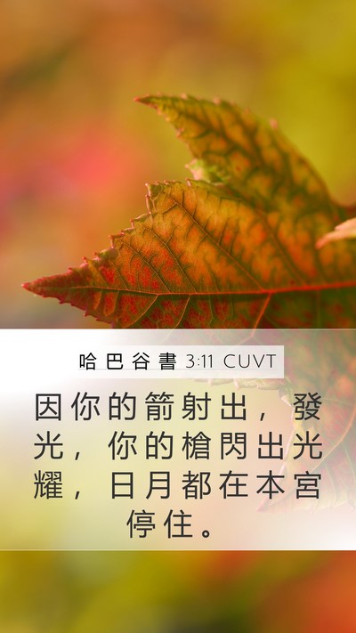 哈 巴 谷 書 3:11 CUVT Bible Verse Image