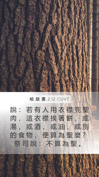 哈 該 書 2:12 CUVT Mobile Phone Wallpaper - 說 ： 若 有 人 用 衣 襟 兜 聖 肉 ， - Mobile Bible Verse Wallpaper