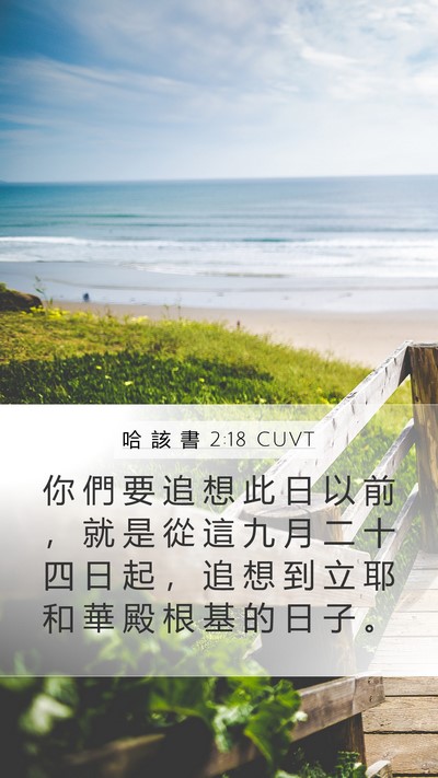 哈 該 書 2:18 CUVT Mobile Phone Wallpaper - 你 們 要 追 想 此 日 以 前 ， 就 是 - Mobile Bible Verse Wallpaper