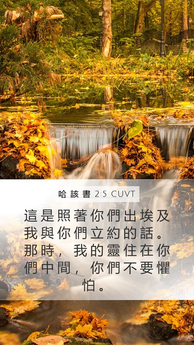 哈 該 書 2:5 CUVT Bible Verse Image