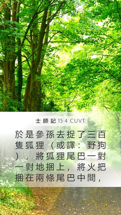 士 師 記 15:4 CUVT Bible Verse Image
