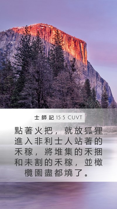 士 師 記 15:5 CUVT Mobile Phone Wallpaper - 點 著 火 把 ， 就 放 狐 狸 進 入 非 - Mobile Bible Verse Wallpaper