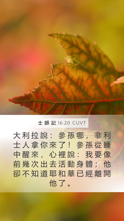 士 師 記 16:20 CUVT Bible Verse Image