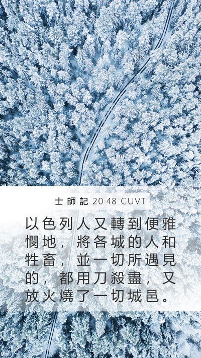 士 師 記 20:48 CUVT Bible Verse Image