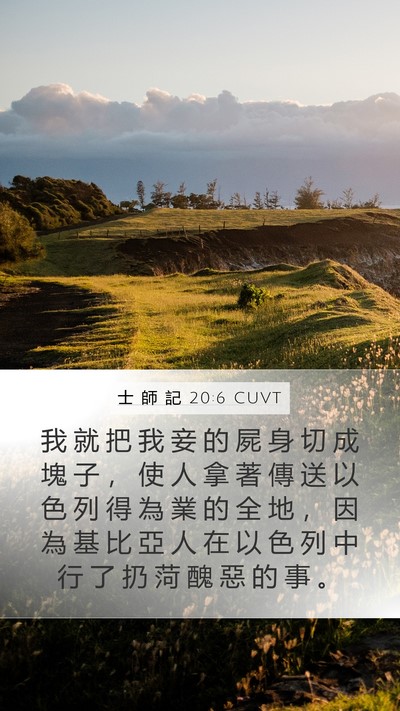 士 師 記 20:6 CUVT Bible Verse Image